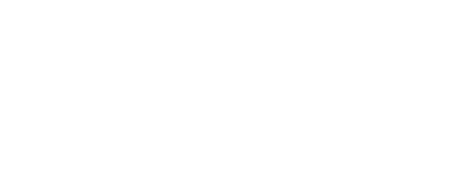 Iveco Logo